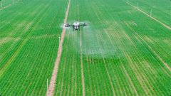 <b>农业农村厅副厅长周连合</b>